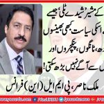 Malik Nasir, PMLN, France