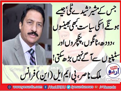 Malik Nasir, PMLN, France