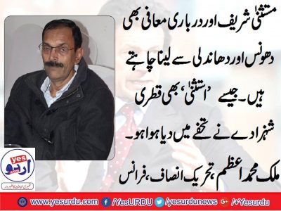 Malik M. azam, PTI , France