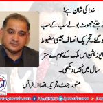Munawwar jatt, Senior Leader, PTI, France