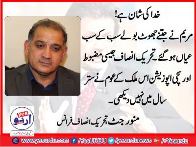 Munawwar jatt, Senior Leader, PTI, France