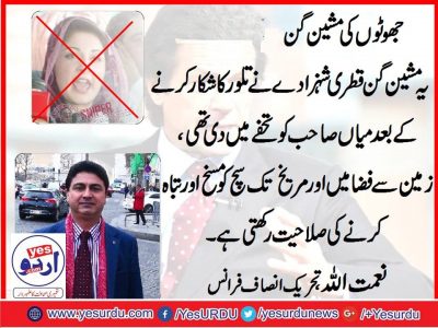 Naimat Ullah,Vice Chairman, PTI, France