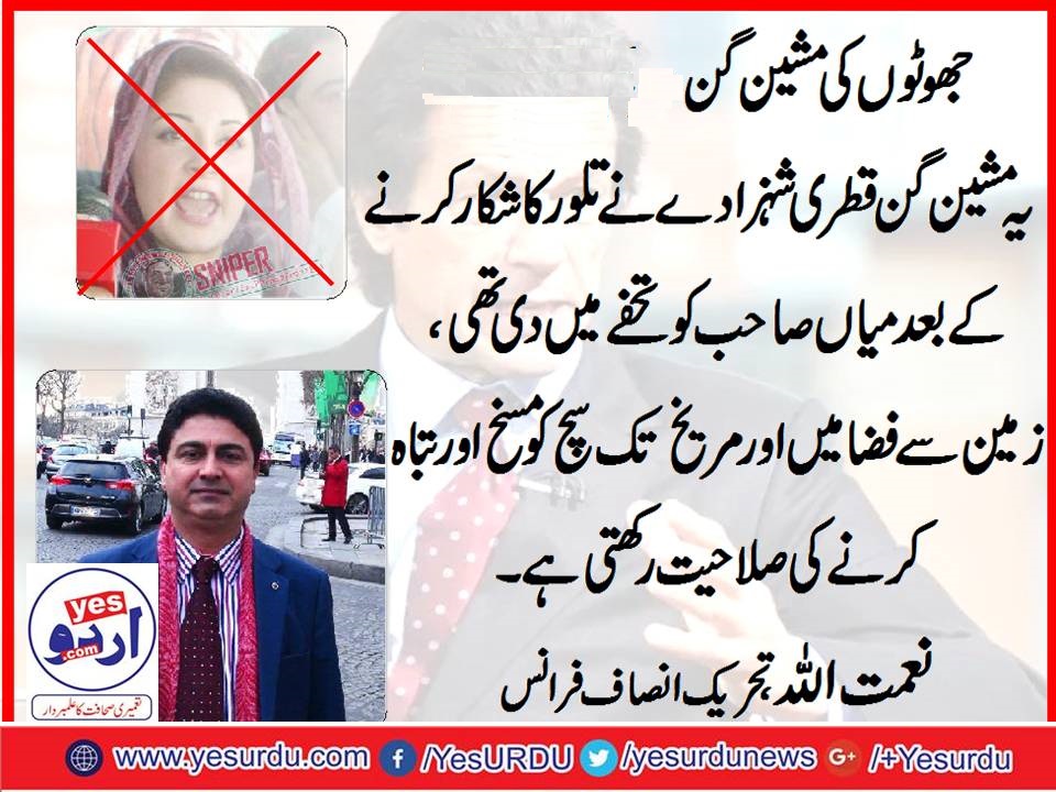 Naimat Ullah,Vice Chairman, PTI, France