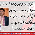 Naimatullah, Vice Chairman, PTI, France