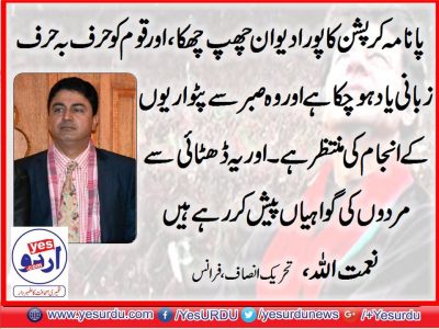 Naimatullah, Vice Chairman, PTI, France