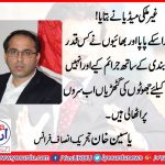 Yaseen Khan, Senior Leader, PTI, France