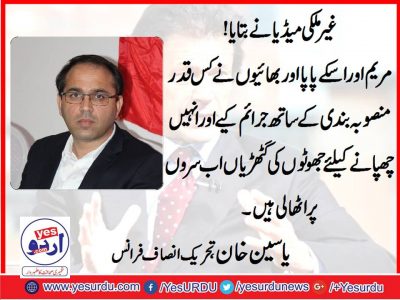 Yaseen Khan, Senior Leader, PTI, France