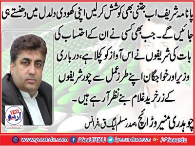 ch. Muneer Warraich, President, PMLQ, France