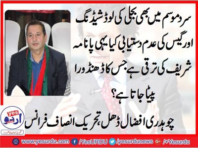 Ch. Afzal Dhal, PTI, France