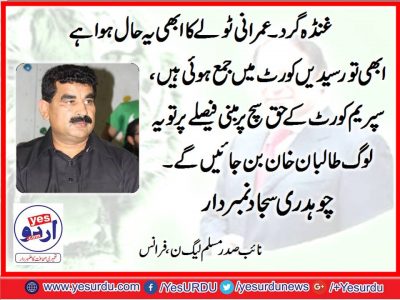 ch. sajjd numberdar, ex, vice President, PMLN, France
