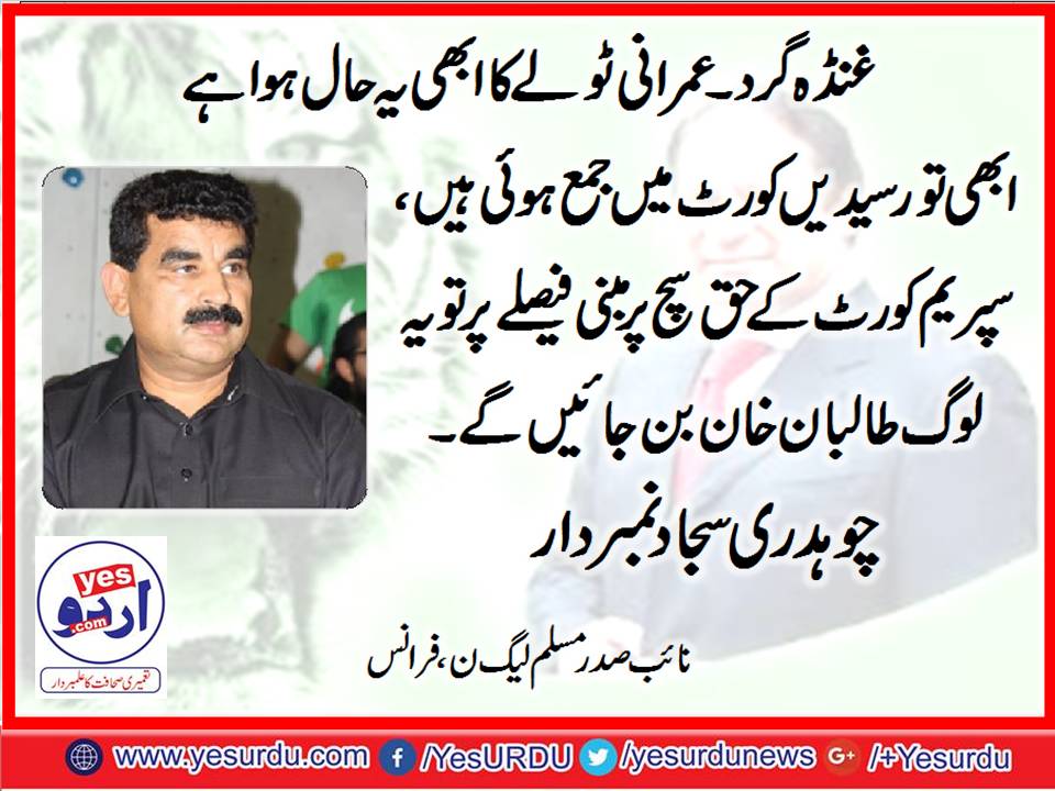 ch. sajjd numberdar, ex, vice President, PMLN, France