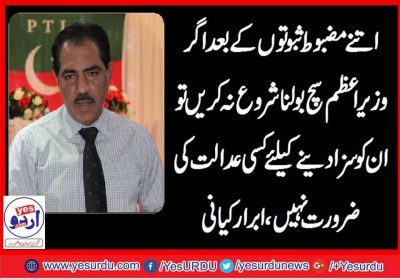 Ibrar, Kayani, Senior, Leader, PTI, France