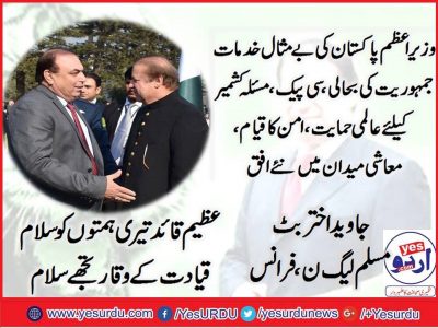 EX-PRESIDENT PML N, FRANCE, JAVED AKHTAR BUTT, MEETING PRIME MINISTER OF PAKISTAN MIAN MUHAMMAD NAWAZ SHARIEF