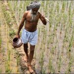 Suicides bent has increased in Indian farmers