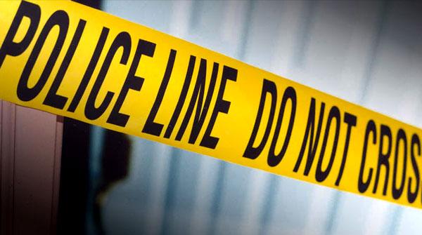 Faisalabad murder of two brothers, case submit