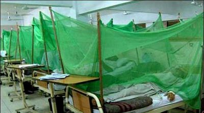 17 people suffer from dengue in Karachi