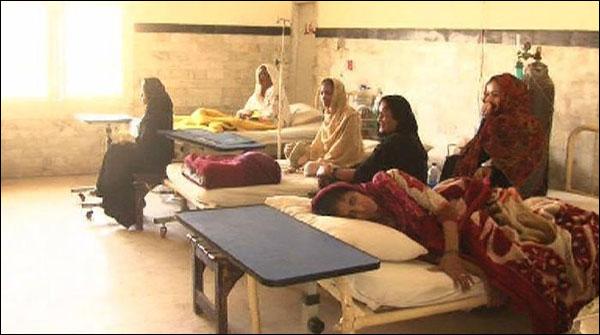 The disease Chicken Guinea could not prevent in Karachi