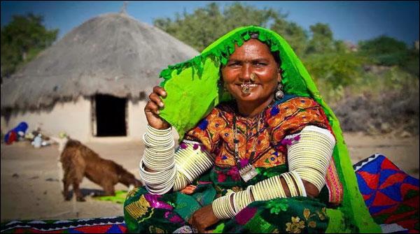 Thar desert, nature's Attractive colours the mark of beauty