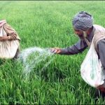 CM restored subsidies on fertilizers