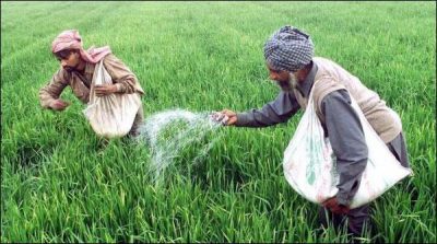 CM restored subsidies on fertilizers