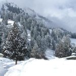 Snowfall in Azad Kashmir, Ghazar, Astore and adjacent areas