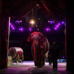 American Circus end after One hundred fifty years