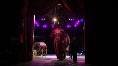 American Circus end after One hundred fifty years