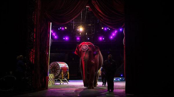American Circus end after One hundred fifty years