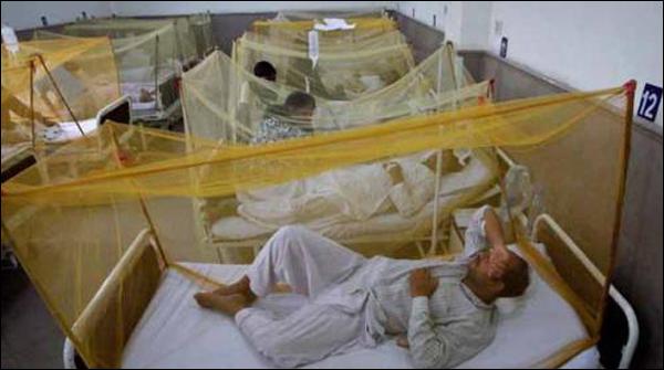 Karachi: Another 13 people affected with dengue