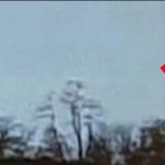 New claims of who to believe on aliens and flying disc Group