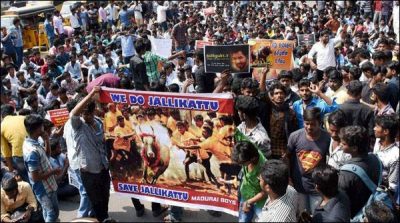 Demonstrations against the ban on jallikattu in Tamil Nadu cities