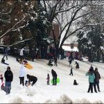 USA: unique battle to beaten Snow Grains