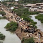 The Mafia has been built hundreds of homes in the dry river