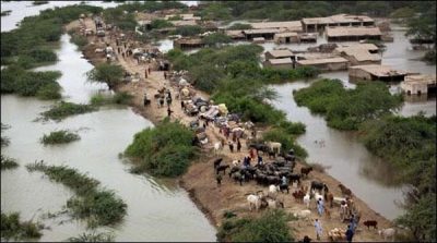 The Mafia has been built hundreds of homes in the dry river