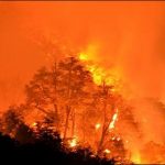 Fire swept away in the forests to all population