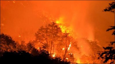 Fire swept away in the forests to all population