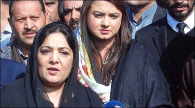 Imran Khan politics of bullying, black mailing, Anushay Rehman