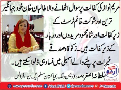 sultana asghar, President, PMLN, Women wing, France