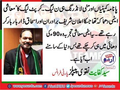 syed kifayat naqvi, EX, Senior, Vice, President, PPP, France