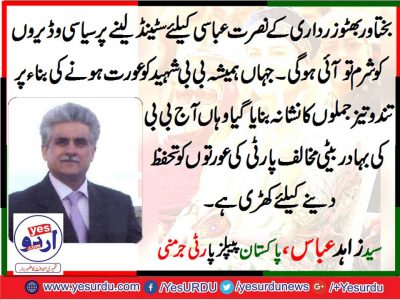 syed zahdi abbas shah, PPP, Germany