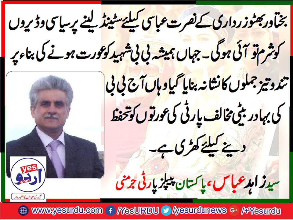 syed zahdi abbas shah, PPP, Germany