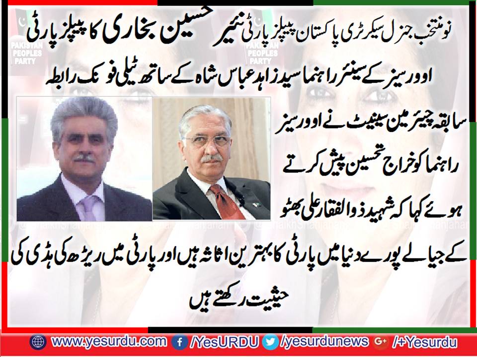 syed zahid abbas, Senior Leader, PPP, Germany
