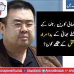 KIM, JONG'S, MURDER, MALAYSIA, DEMANDS, CONCEALER, ACCESS, TO, NORTH KOREA