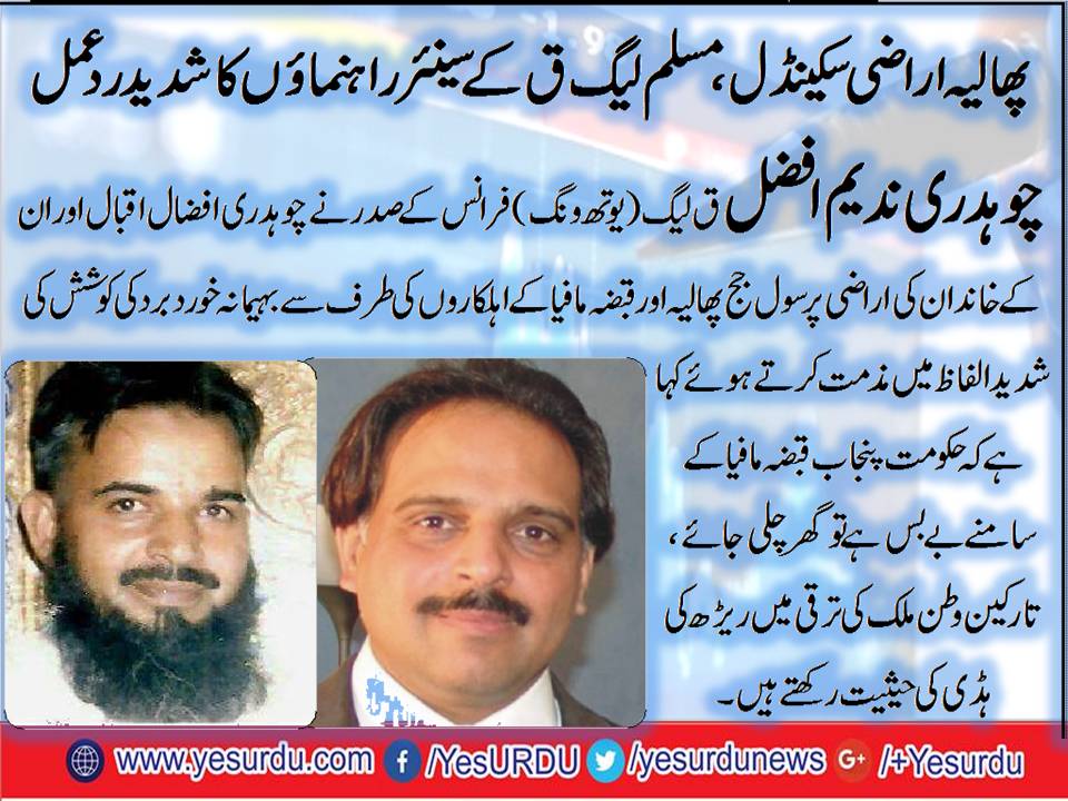 Ch, Nadeem, Afzal, President, PMLQ, youth wing, France