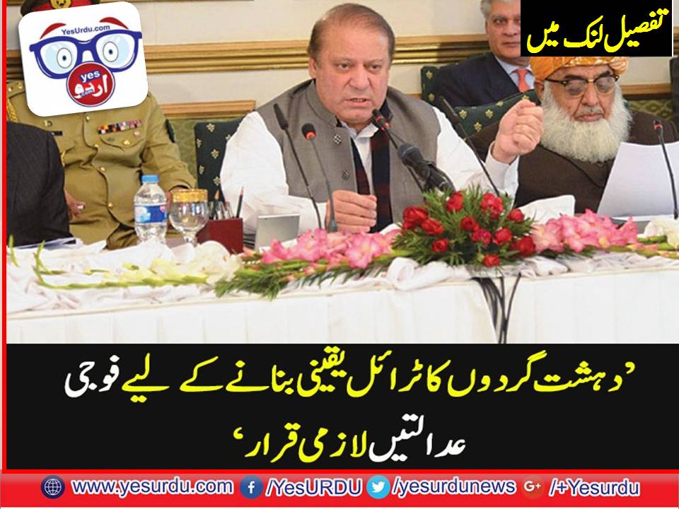 GOVERNMENT, IN, A, HURRY, TO, RESTRAINED, ARMY, COURTS