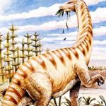 8 million year old dinosaur discovered protein