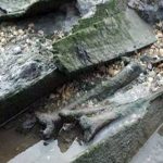 Human skulls and bones spewing a appalling Island