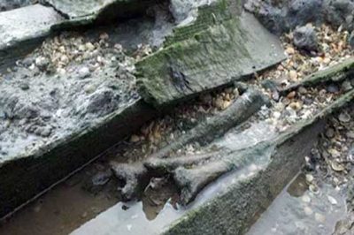 Human skulls and bones spewing a appalling Island