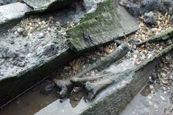 Human skulls and bones spewing a appalling Island