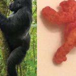 'Guerrilla chips, sold for $ 1 million